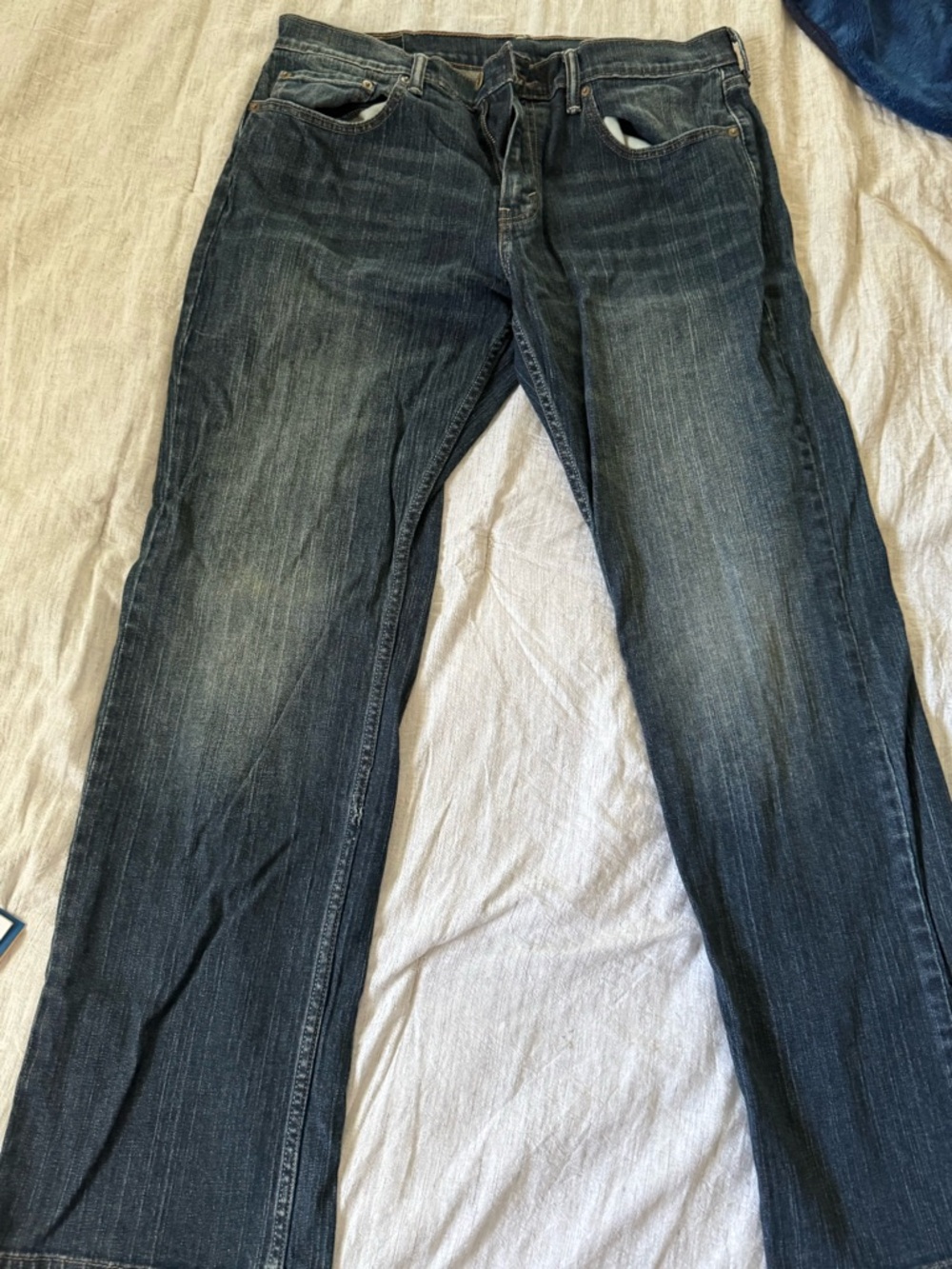 Levi's 559 Men's Bootcut Jeans in Faded Blue